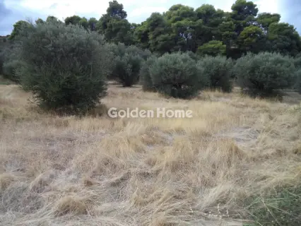 Οικιστικό 553τ.μ. προς πώληση φωτογραφία 5658987