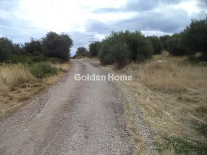 Οικιστικό 569τ.μ. προς πώληση φωτογραφία 5658979