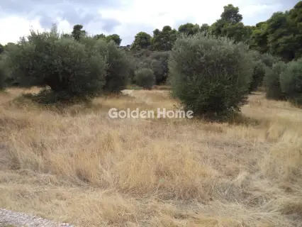 Οικιστικό 569τ.μ. προς πώληση φωτογραφία 5658985