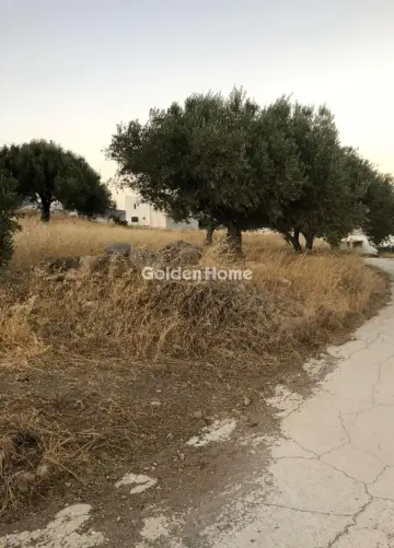 Οικιστικό 1147τ.μ. προς πώληση φωτογραφία 1