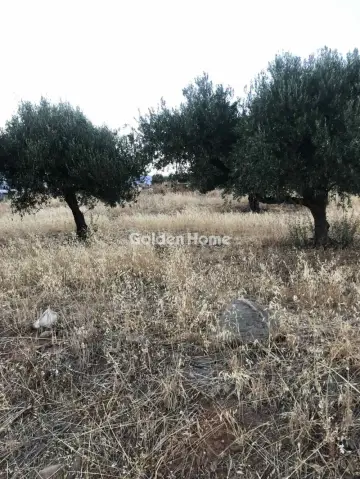 Οικιστικό 1147τ.μ. προς πώληση φωτογραφία 2