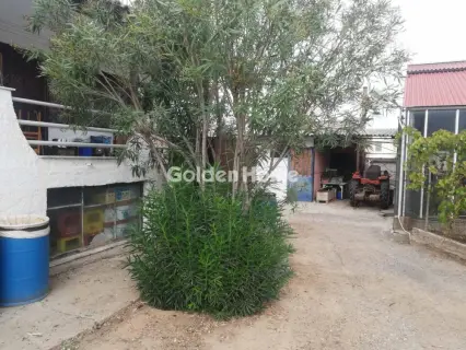 Οικιστικό 5500τ.μ. προς πώληση φωτογραφία 5
