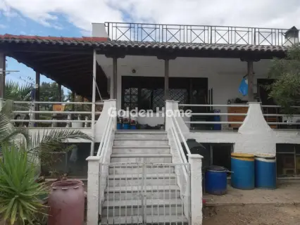 Οικιστικό 5500τ.μ. προς πώληση φωτογραφία 4