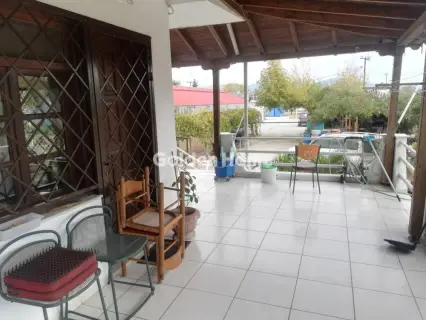 Οικιστικό 5500τ.μ. προς πώληση φωτογραφία 6