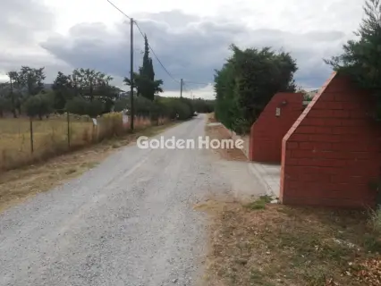 Αγροτεμάχιο 4800τ.μ. προς πώληση φωτογραφία 5659259