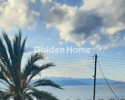 Αυτόνομο Κτίριο 594τ.μ. προς πώληση φωτογραφία 46