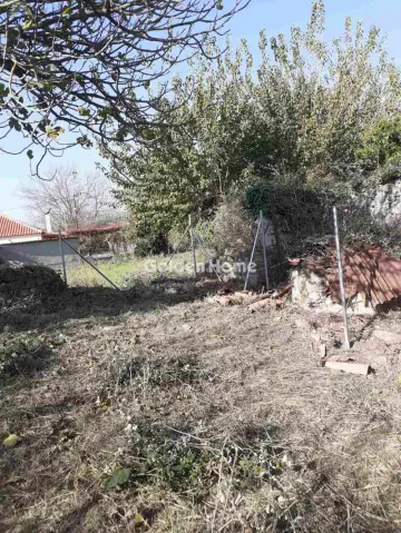 Residential 290m<sup>2</sup> for sale photo 2
