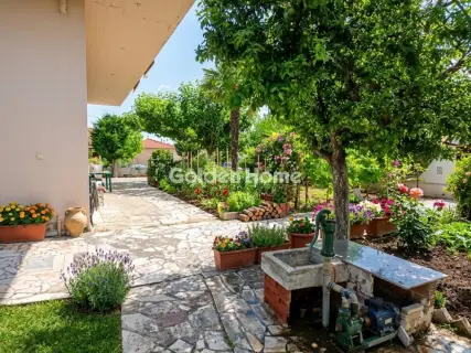 独立复式小屋 298m<sup>2</sup> for sale photo 5661553