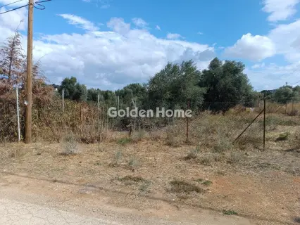 Οικιστικό 250τ.μ. προς πώληση φωτογραφία 5661151