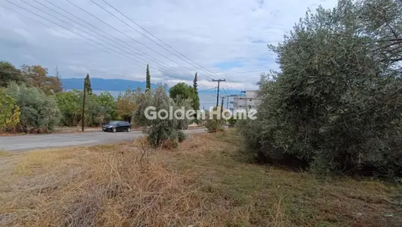 Οικιστικό 1025τ.μ. προς πώληση φωτογραφία 5690484