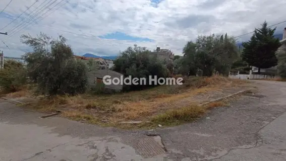 Οικιστικό 1025τ.μ. προς πώληση φωτογραφία 5690484