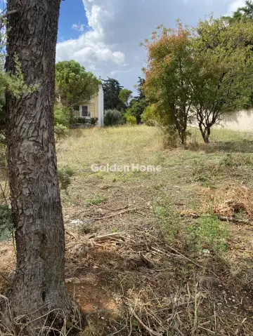 Οικιστικό 706τ.μ. προς πώληση φωτογραφία 5663755