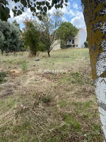 Οικιστικό 706τ.μ. προς πώληση φωτογραφία 5663756