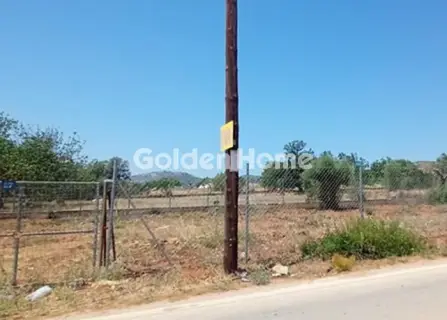 Αγροτεμάχιο 8473τ.μ. προς πώληση φωτογραφία 5668959