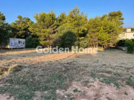 Οικιστικό 2800τ.μ. προς πώληση φωτογραφία 5664755