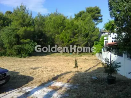 Οικιστικό 2800τ.μ. προς πώληση φωτογραφία 5664755