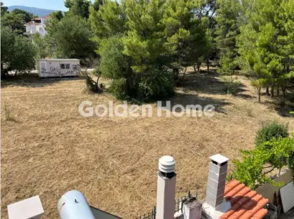 Οικιστικό 2800τ.μ. προς πώληση φωτογραφία 5664755