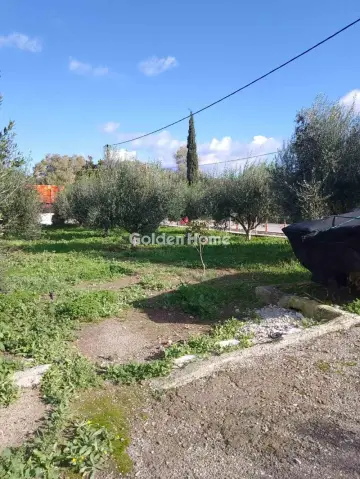 Μονοκατοικία 91τ.μ. προς πώληση φωτογραφία 18
