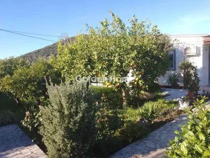 Μονοκατοικία 91τ.μ. προς πώληση φωτογραφία 40