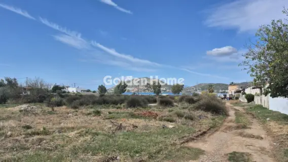 Οικιστικό 1266τ.μ. προς πώληση φωτογραφία 5
