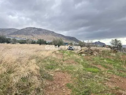 Επαγγελ. Οικόπεδο 17500τ.μ. προς πώληση φωτογραφία 5692691