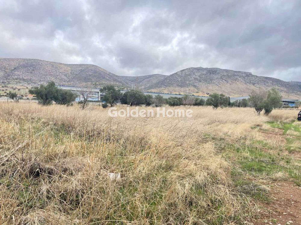 Οικόπεδο 17500τ.μ. προς πώληση φωτογραφία προβολής