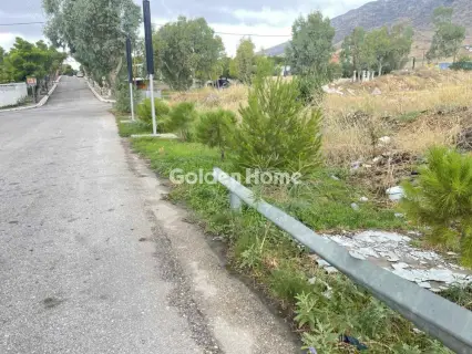Professional Plot 4630m<sup>2</sup> for rent photo 2
