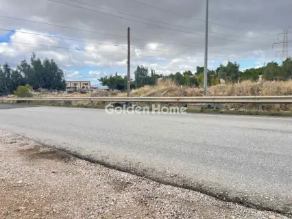 Professional Plot 4630m<sup>2</sup> for rent photo 3