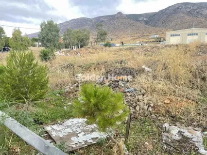 Professional Plot 4630m<sup>2</sup> for rent photo 1