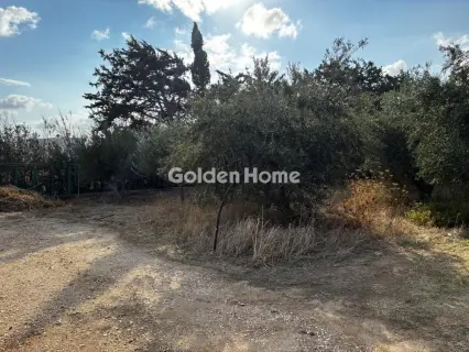 Οικιστικό 1076τ.μ. προς πώληση φωτογραφία 5666330