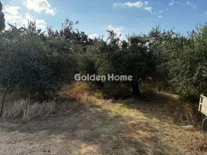 Οικιστικό 1076τ.μ. προς πώληση φωτογραφία 5666331