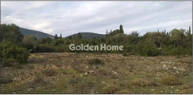 Οικιστικό 6692τ.μ. προς πώληση φωτογραφία 5666793