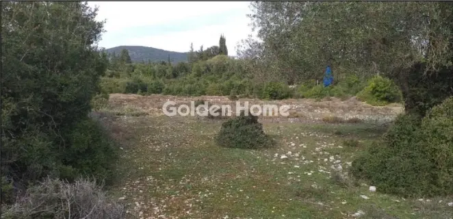Οικιστικό 6692τ.μ. προς πώληση φωτογραφία 5666794