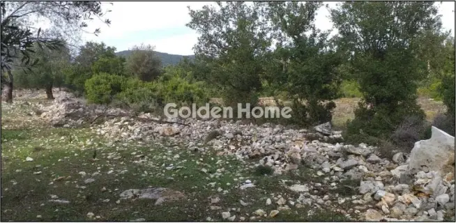 Οικιστικό 6692τ.μ. προς πώληση φωτογραφία 5666795