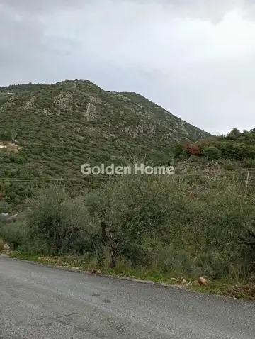 Οικιστικό 300τ.μ. προς πώληση φωτογραφία 5667760