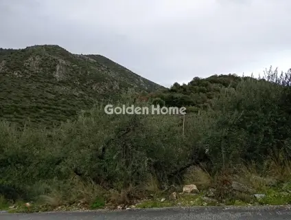 Οικιστικό 300τ.μ. προς πώληση φωτογραφία 5667760