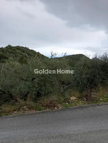 Οικιστικό 300τ.μ. προς πώληση φωτογραφία 5667760