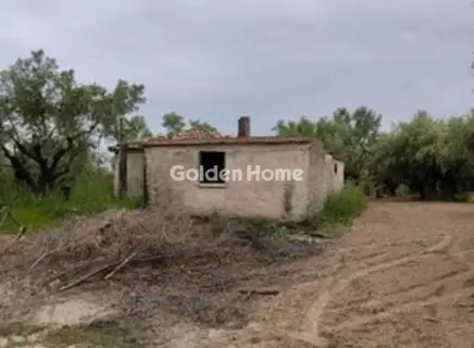 Οικιστικό 23000τ.μ. προς πώληση φωτογραφία 5679426