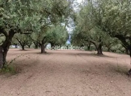 Οικιστικό 23000τ.μ. προς πώληση φωτογραφία 5679425