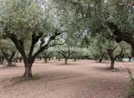 Οικιστικό 23000τ.μ. προς πώληση φωτογραφία 5679423