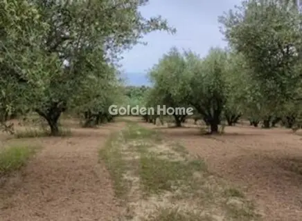 Οικιστικό 23000τ.μ. προς πώληση φωτογραφία 5679422