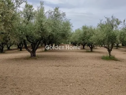 Οικιστικό 23000τ.μ. προς πώληση φωτογραφία 5679415
