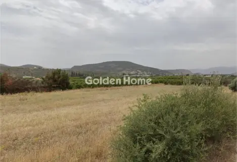 Οικιστικό 26637τ.μ. προς πώληση φωτογραφία 5669435