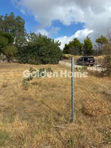 住宅 420m<sup>2</sup> for sale photo 3