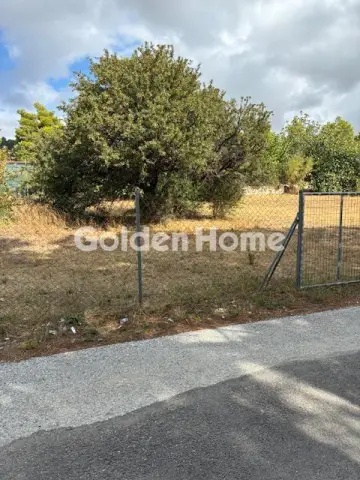 住宅 420m<sup>2</sup> for sale photo 2