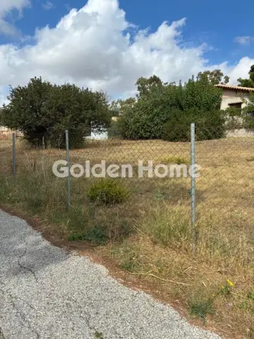 住宅 420m<sup>2</sup> for sale photo 6