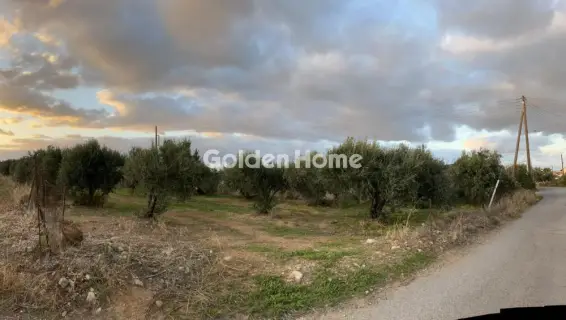 Οικιστικό 1500τ.μ. προς πώληση φωτογραφία 2
