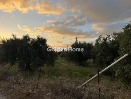 Οικιστικό 1500τ.μ. προς πώληση φωτογραφία 4