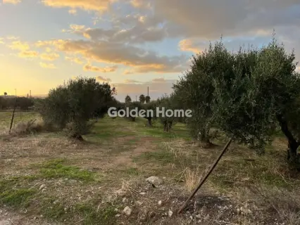 Οικιστικό 1500τ.μ. προς πώληση φωτογραφία 1