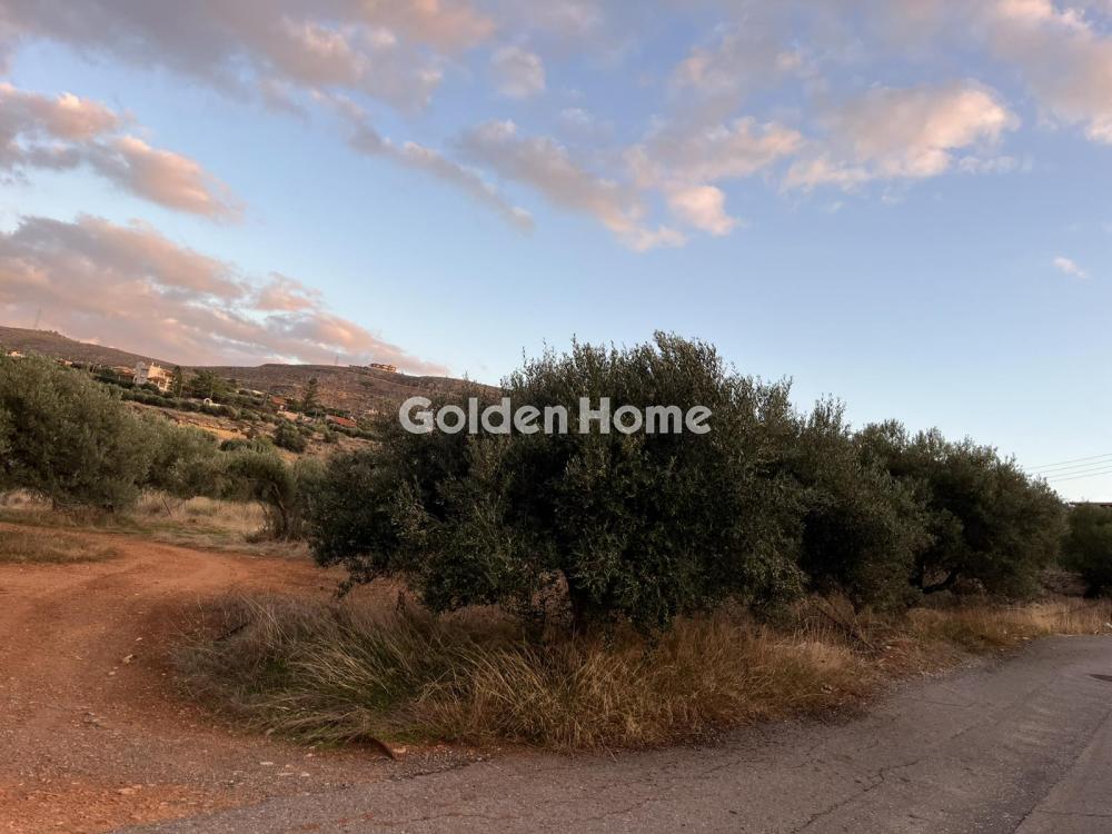 Οικόπεδο 877τ.μ. προς πώληση φωτογραφία προβολής